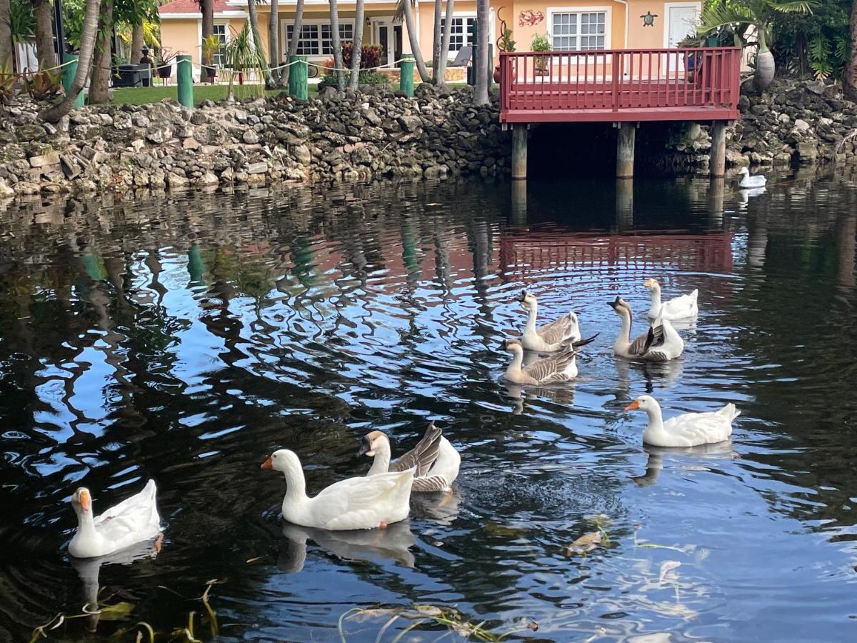 The Sanctuary House West Palm Beach Ngoại thất bức ảnh