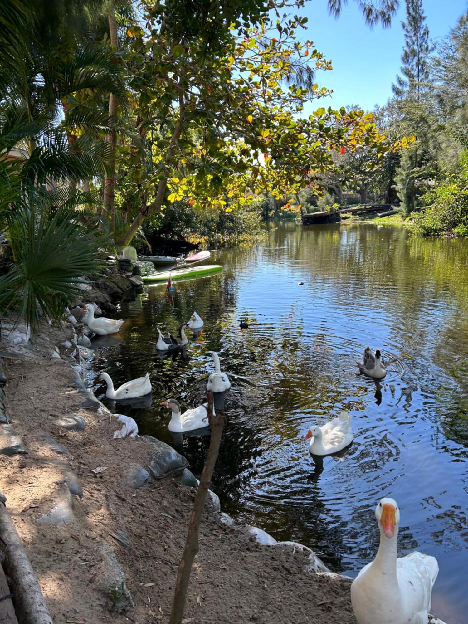 The Sanctuary House West Palm Beach Ngoại thất bức ảnh